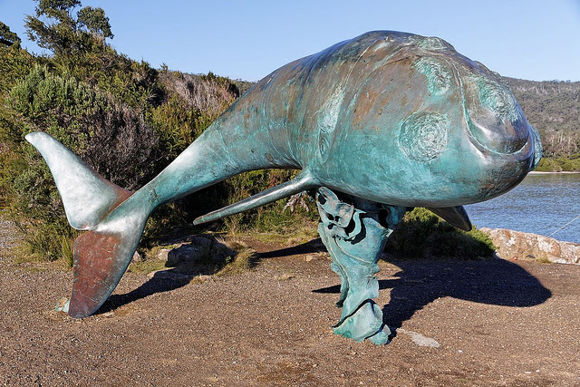  Life sized bronze whale sculpture, Catamaran TAS