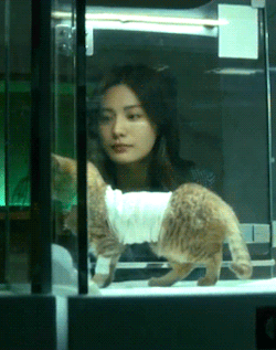 Nana Looking at a cat in a cage 