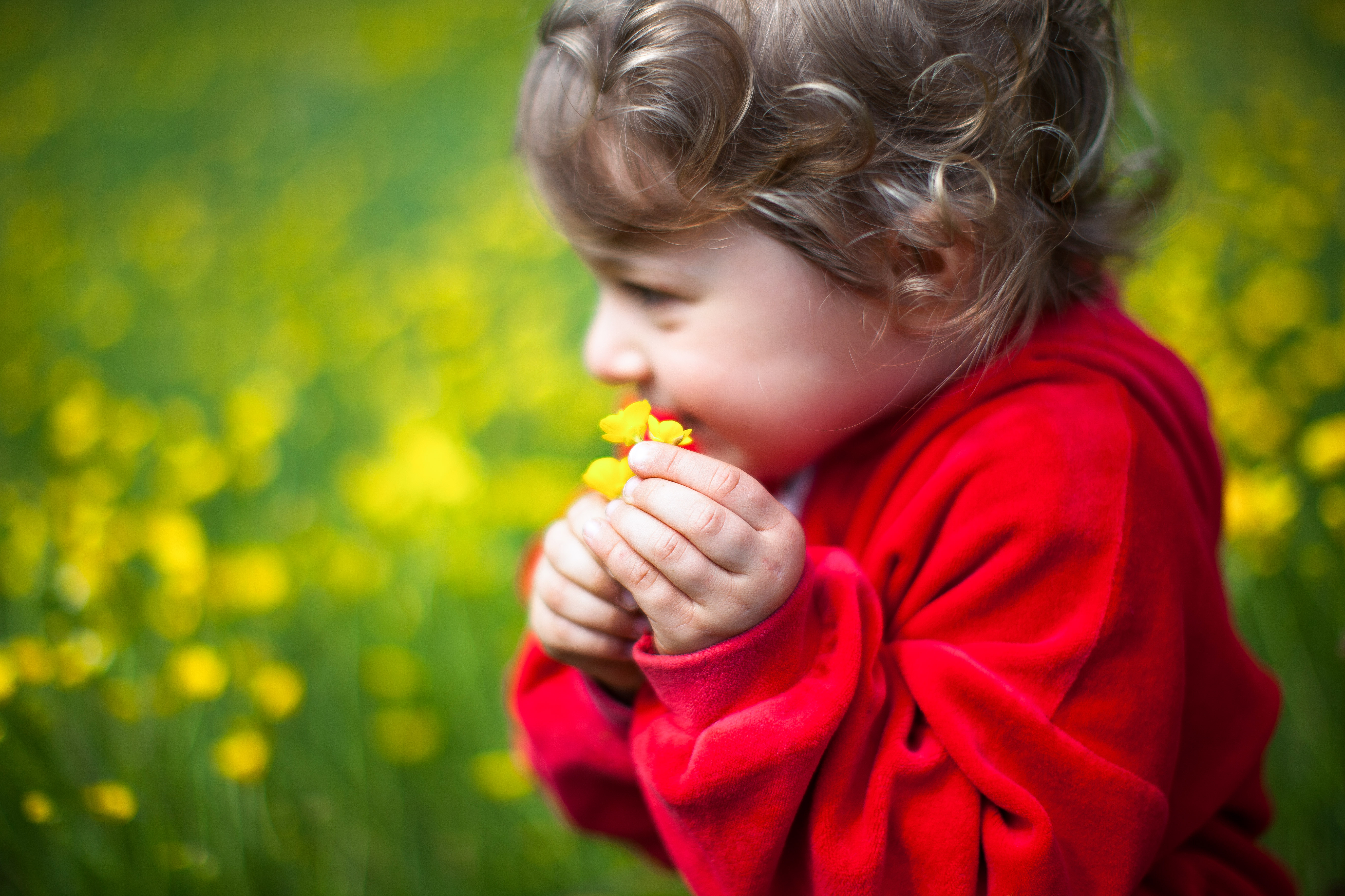 Flowers di gianluca_cardoni