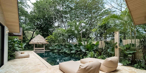 Maison contemporaine avec piscine et jardin 1