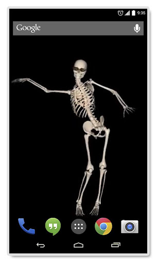 Belly Dancing Live Skeleton