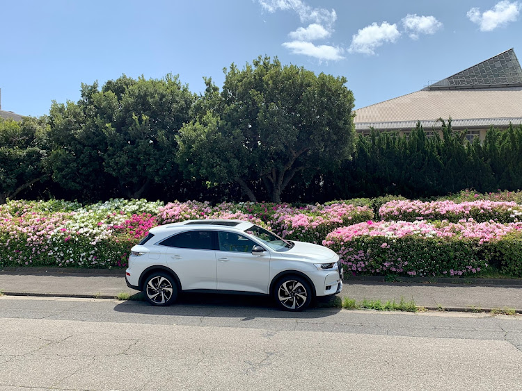 DS3 クロスバックのDS7crossback・ツツジと代車・一年点検・代車でGO★・ウォーリーを探せに関するカスタム事例の投稿画像1枚目