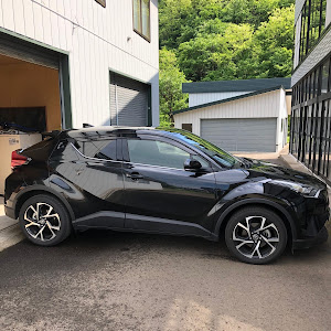 C-HR NGX50