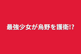 最強少女が烏野を護衛!?