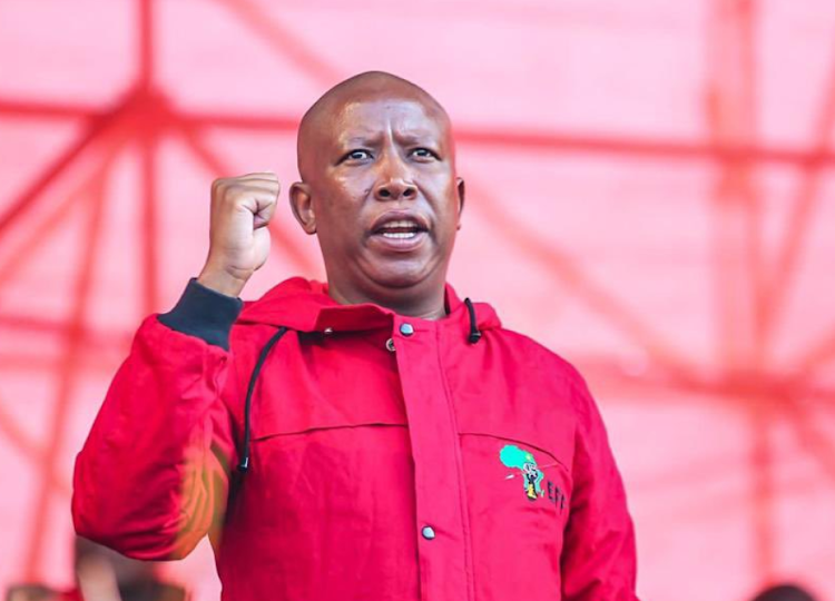 EFF leader, Julius Malema shares his take on mental health issues.