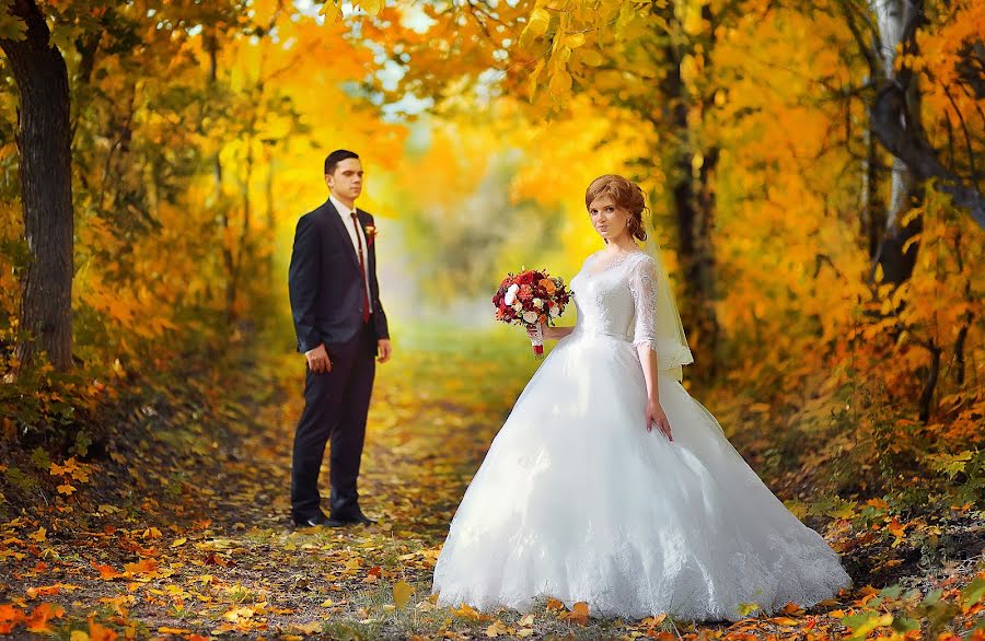 Wedding photographer Elena Raevskaya (leonflo). Photo of 12 December 2016
