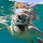 Sea Turtles - New Tab in HD