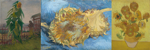 The Painter Of Sunflowers Van Gogh Museum