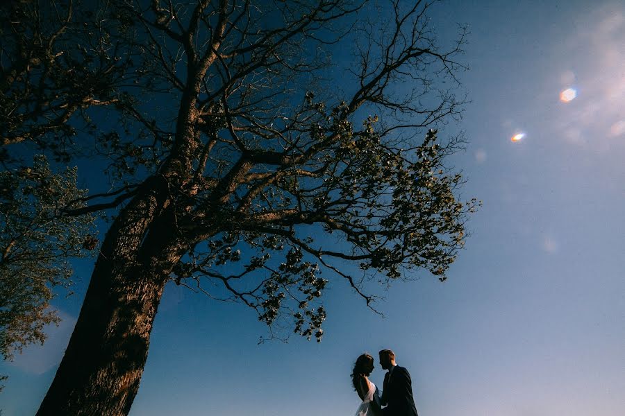 Photographe de mariage Anastasiya Bogdanova (abogdanova). Photo du 22 janvier 2017