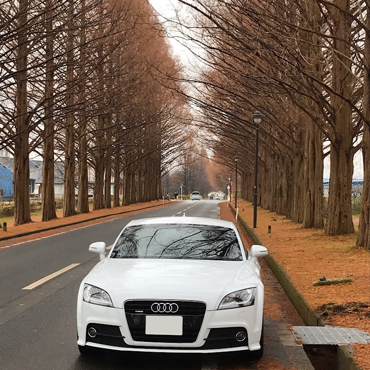 TTのドライブ・メタセコイア並木・白髭神社・監獄に関するカスタム事例の投稿画像2枚目