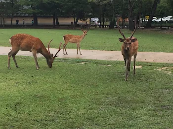 はじめまして。