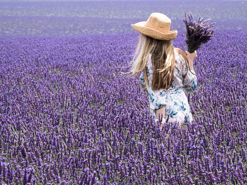 profumo di lavanda di annabarbi