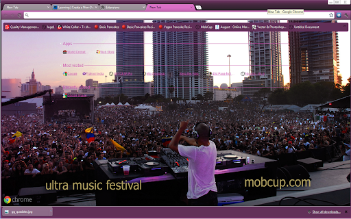 Ultra Music Festival (Miami) music umf