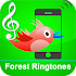 Birds Ringtones - Awesome3.0