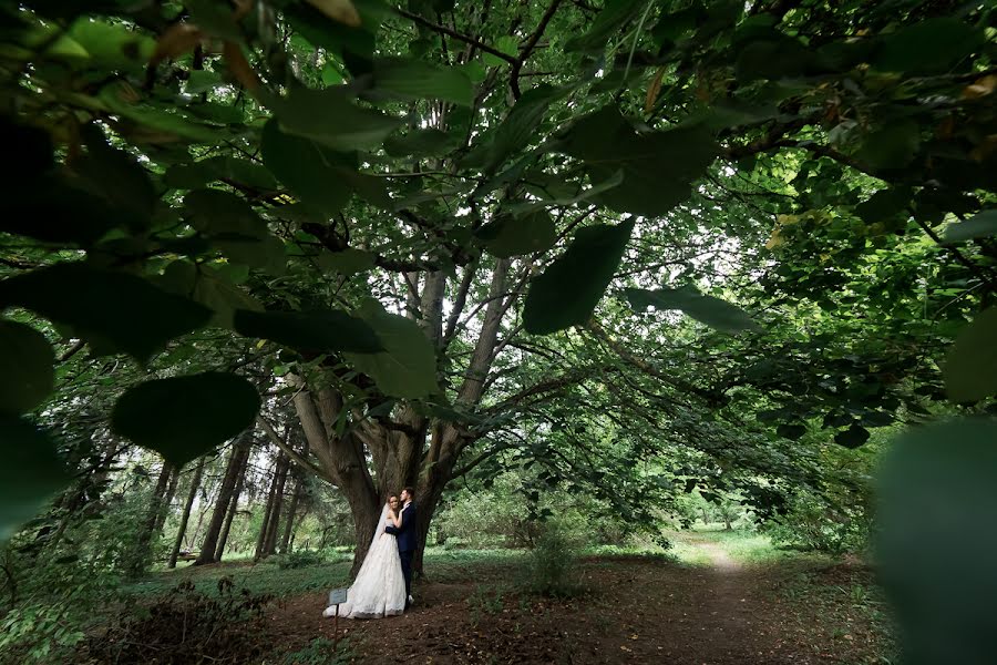 Fotografo di matrimoni Evgeniy Krivoshein (krikri). Foto del 3 ottobre 2016