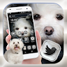 Cute Puppy Launcher Theme icon