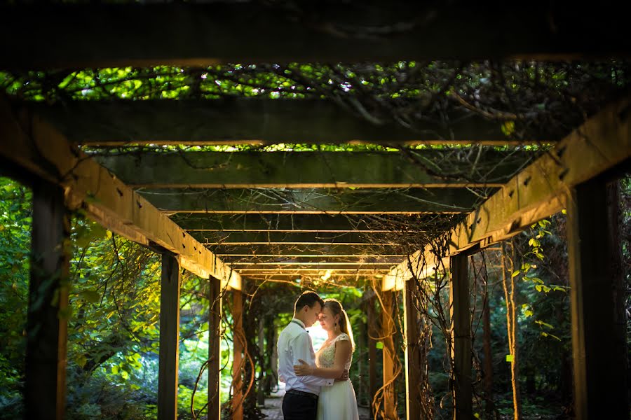 Photographe de mariage Karolina Dmitrowska (dmitrowska). Photo du 7 septembre 2018