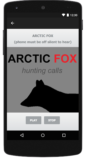 Arctic Fox Hunting Calls  Predator Calls