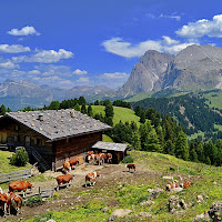 Latte di Alta Montagna di 