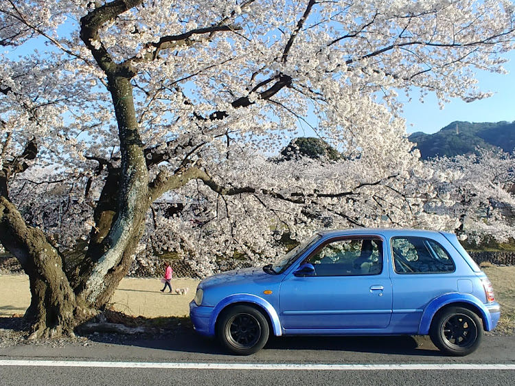 マーチのマーチ・k11・k11 マーチに関するカスタム事例の投稿画像1枚目