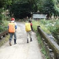台灣農林熊空茶園