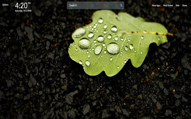 Leaves Wallpapers NewTab Theme