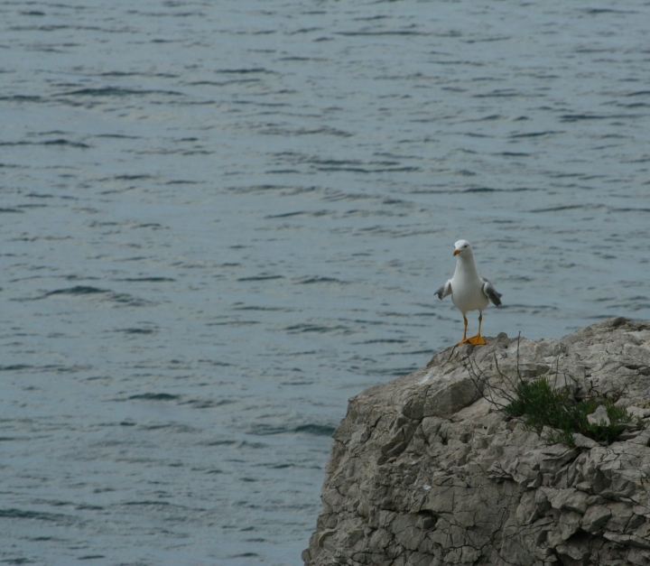 Fra mare e terra di fatamorgana33