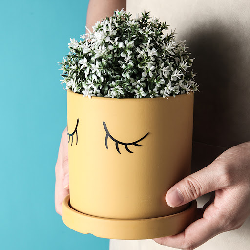 Title 7, Ceramic Abstract Eyelashes Round Flower Pot for...