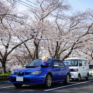 インプレッサ WRX STI GDB