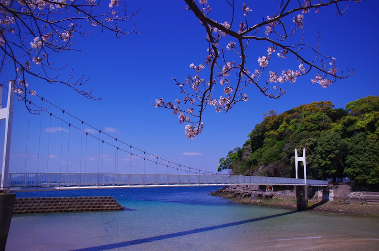 コペンの桜とコラボ・桜・一眼レフ・コロナウイルスに負けるな・ドライブに関するカスタム事例の投稿画像1枚目