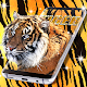 Tiger live wallpaper Download on Windows