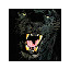 Panther Animal Wallpapers New Tab HD