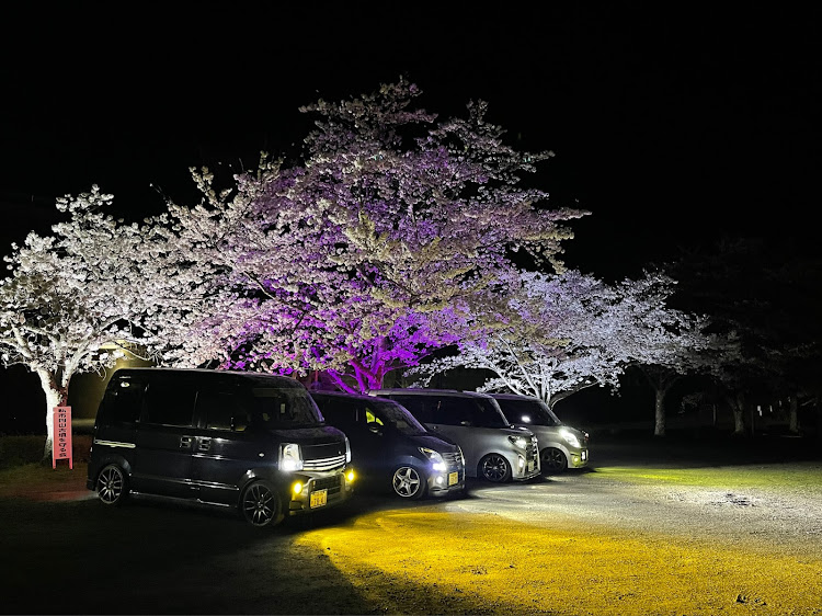 ワゴンRの桜とコラボ🌸・サクラと愛車・桜・オフ会・ドライブに関するカスタム事例の投稿画像3枚目