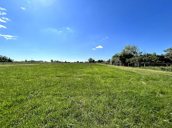 terrain à Blaye (33)