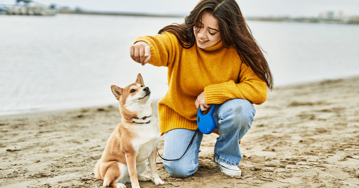 shiba inu dog at beach with girl