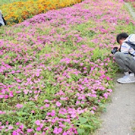 【花蓮】山東麵館