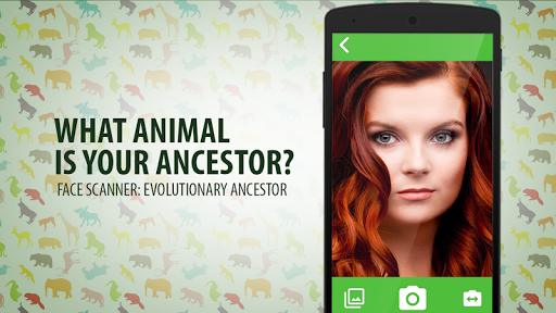 免費下載模擬APP|What Animal Origins Simulator app開箱文|APP開箱王