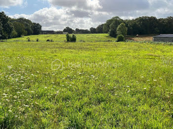 terrain à Le Tronchet (35)