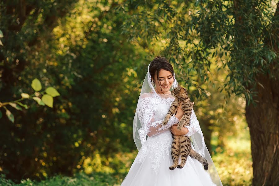 Fotografo di matrimoni Olga Nikolaeva (avrelkina). Foto del 13 novembre 2018