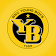 BSC YOUNG BOYS icon