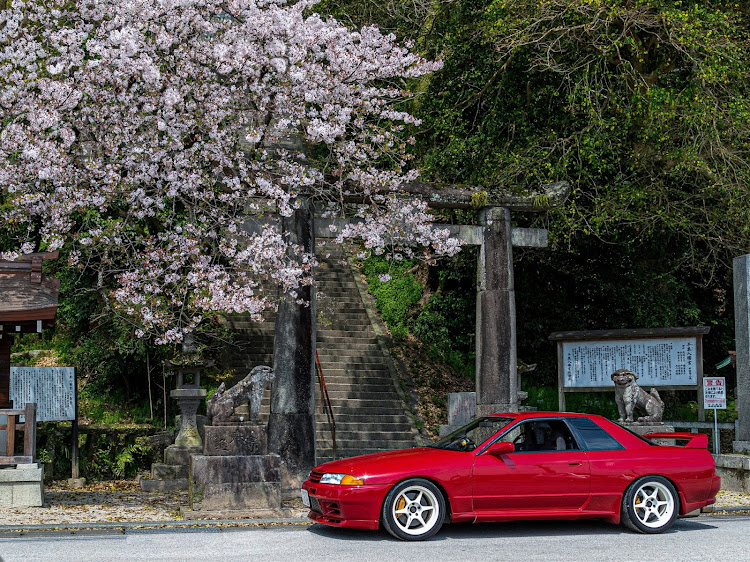 スカイライン GT-Rの赤い車・スカイライン・桜と愛車に関するカスタム事例の投稿画像1枚目