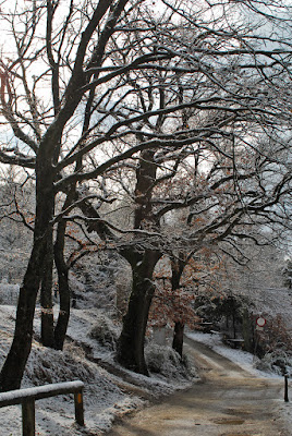 Un po' di neve sulla Roveta di marco cerrai