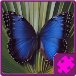 Butterfly Puzzle Apk