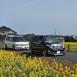 トールカスタム