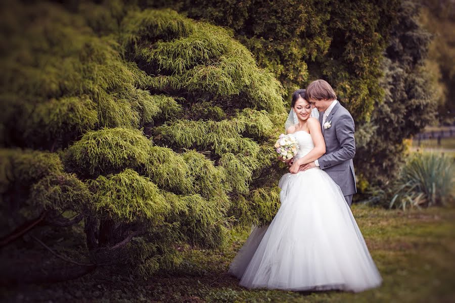 शादी का फोटोग्राफर Ivan Kalita (kalitastudio)। अक्तूबर 14 2015 का फोटो
