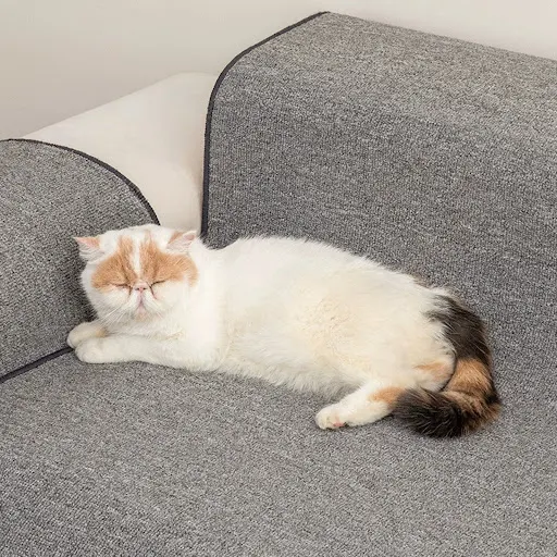 Cat Scratch Mat Furniture Claw Scratching Pad Sofa Protector Training Toy Grinding Claw Kitten Sleeping Mat Pet Supplies