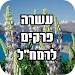 עשרה פרקים לרמח''ל APK