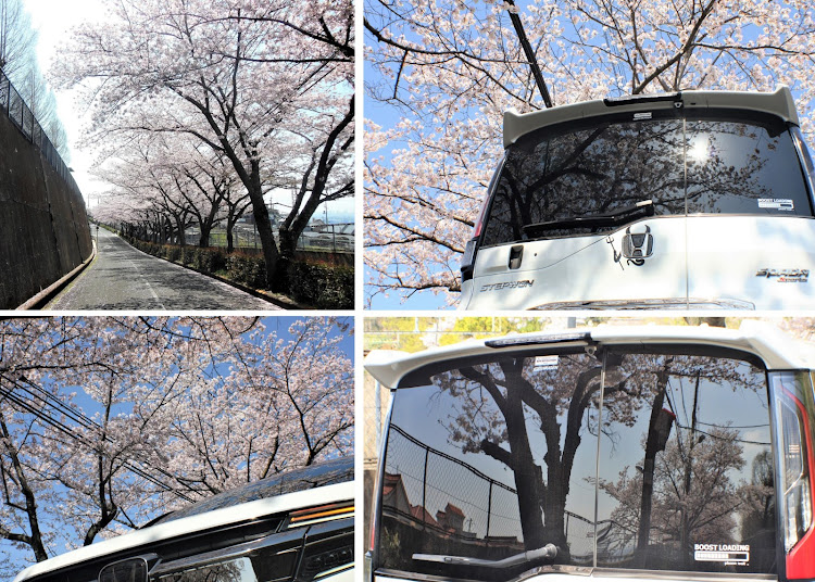 ステップワゴンスパーダのステップワゴン・桜と愛車・大阪の心霊スポット・旧生駒トンネル・石切大仏に関するカスタム事例の投稿画像20枚目