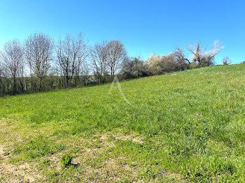 terrain à Terre-de-Bancalié (81)