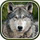 Wolves HD new free tab theme